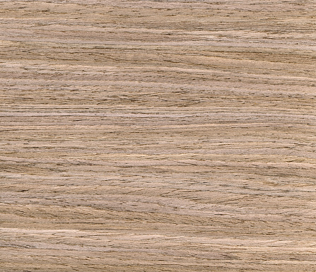 High resolution walnut wood texture