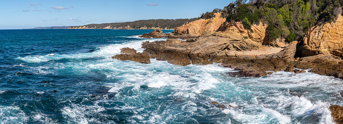 Panoramic Seascape, with seals frolicing in the surf, Bermagui, New South Wales, Australia.