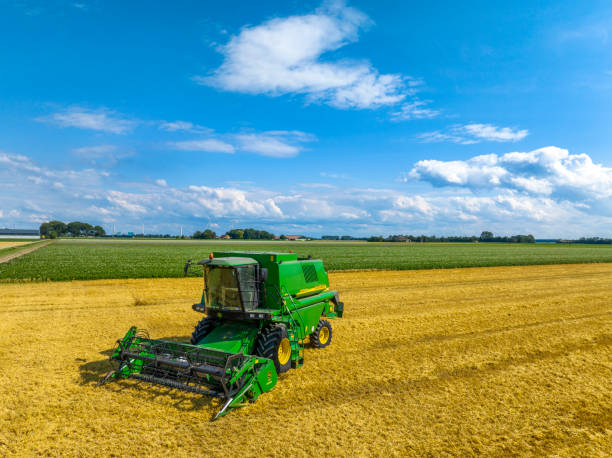 Combine harvester John Deere harvesting wheat in a gold colored field during summer seen from above. There is dust coming form the harvester during this period of drought.