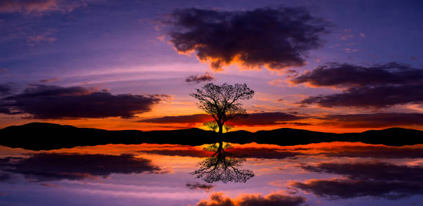istock Panorama twilight Beauty Evening colorful clouds - sunlight with dramatic sky.Dramatic sunset with blue sky reflection in water. 1677905200