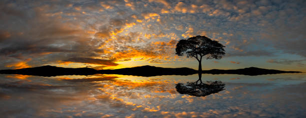istock Panorama twilight Beauty Evening colorful clouds - sunlight with dramatic sky.Dramatic sunset with blue sky reflection in water. 1677905207