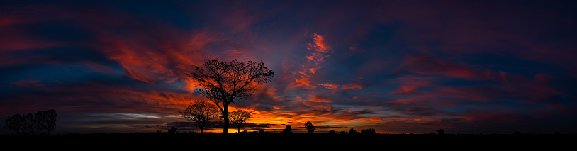 Majestic Streaks of orange colored clouds, red and orange sky with small dark clouds and the silhouette of local trees.Group of Tree silhouetted at sunset on horizon.