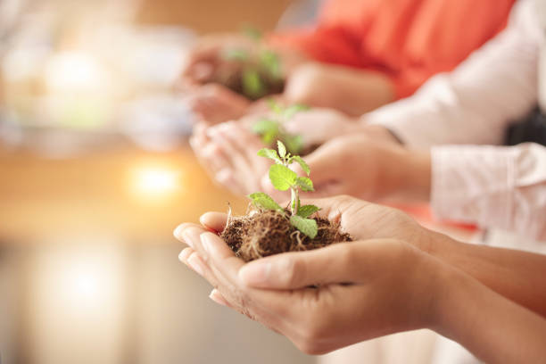 istock Teamwork, soil or hands with plant for sustainability, agriculture environment or natural growth top view. Future goals, group accountability or people with dirt helping green leaves development 1677941635
