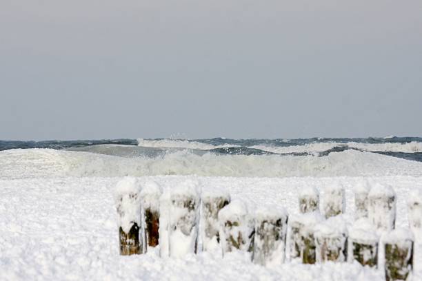 istock Winter at the ocean 1677941638