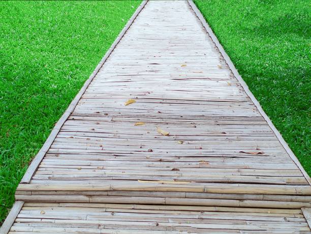 istock Image of a road, walkway, and stepping on the left foot 1677950730