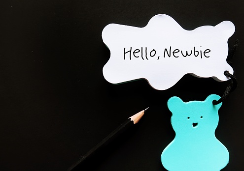 On black copy space background, pencil wrote on bear notebook HELLO NEWBIE, refers to inexperienced newcomer worker employee in the workplace just started doing activity, profession or first jobber
