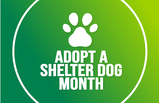 October is Adopt a Shelter Dog Month background template use to background, banner, placard, card, and poster design. holiday concept with text inscription and standard color. vector illustration.
