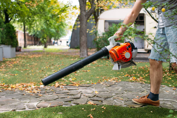 Cordless Leaf Blowers. handheld, cordless, electric leaf blower in a garden, selective focus. Autumn, fall gardening works in a backyard, on a lawn, grass. Garden works.