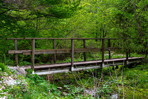 Small bridge over a forest stream in the Austrian Alps