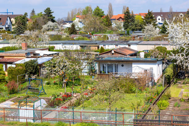 暖かい晴れた夏の日に成長する小屋、木の花野菜のある多くの伝統的なドイツの小さな庭の割り当てエリア。シュレーベルガルテン ドイツの都市にある典型的なクラインガルテンコミュニテ - kleingarten ストックフォトと画像