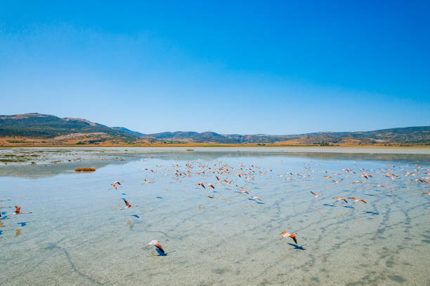Yarisli Lake in Burdur, Turkey.
