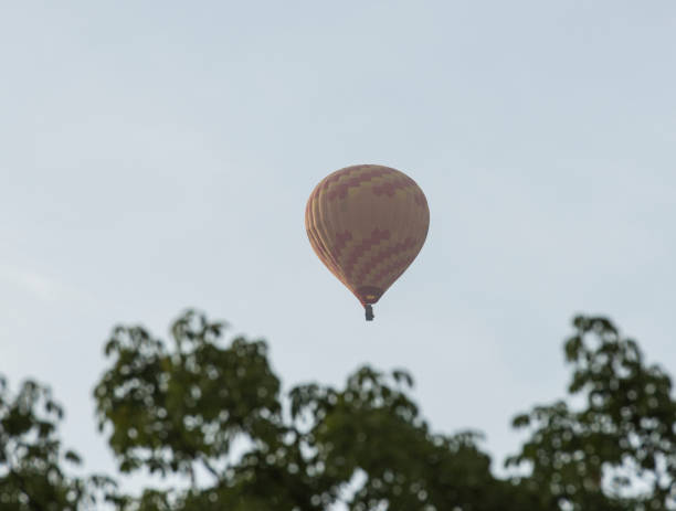 istock Hot air balloon flying over trees 1678065090