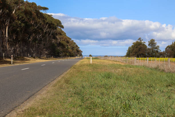istock rural road through australian countryside with fields and eucalyptus trees 1678084922