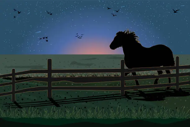 Vector illustration of Silhouette of horse grazing in pasture. Night landscape with horse, fence, meadow, birds and sunset starry sky.