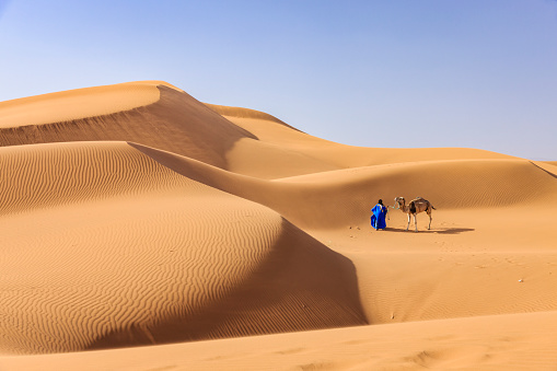 Tuareg with camels on the western part of The Sahara Desert in Morocco. The Sahara Desert is the world's largest hot desert.
