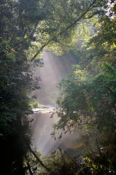 raios solares sobre o rio avon, malmesbury, wiltshire, inglaterra, reino unido - self reflection - fotografias e filmes do acervo