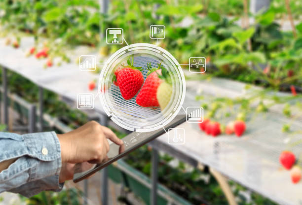 Farm Smart Agriculture Technology, Smart agriculture concept