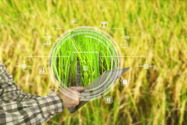 istock Agriculture technology farmer man using tablet control and care for production 1678188372