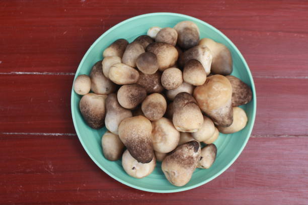 istock Volvariella volvacea 1678212919