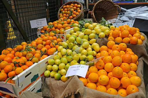 Large Pile of Citrus Fruits at Farmers Market in London
