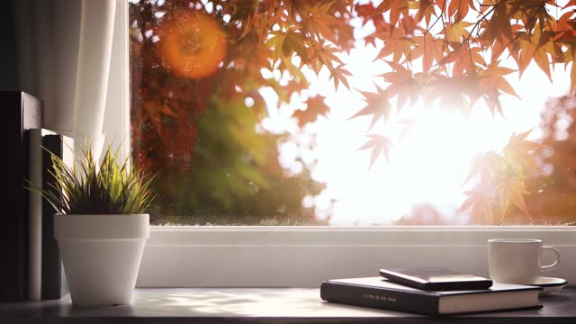 Relaxing and beautiful fresh morning scenery looping video with red autumn maple trees and maple leaves swaying in the wind outside the glass window and bright sunlight sparkling and shining