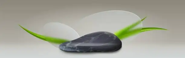 Vector illustration of Black stone with glass morphism, green grass decor