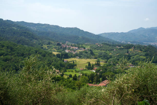 istock Rural landscape near Camaiore, Tuscany 1678259675