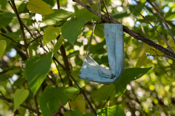 istock Used dirty protective medical face mask thrown on a tree. A new problem of coronavirus, the concept of environmental pollution 1678278045