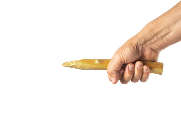 istock Wooden stake in hand isolated on white background. 1678284191