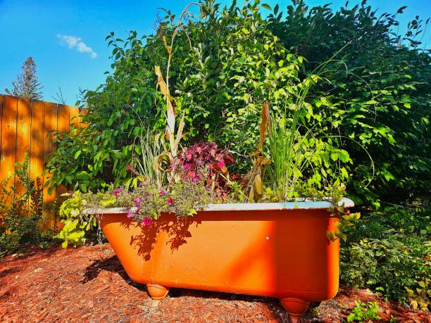 istock Bathtub of Life 1678290482
