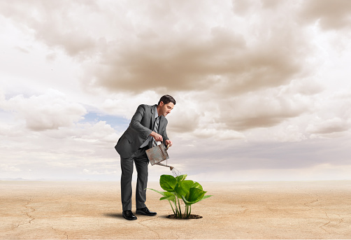 A businessman pours water from a watering can onto a plant that is growing out of parched ground.