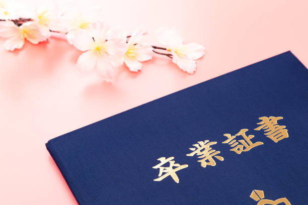 istock Diploma and cherry blossoms on a pink background. 1678305462