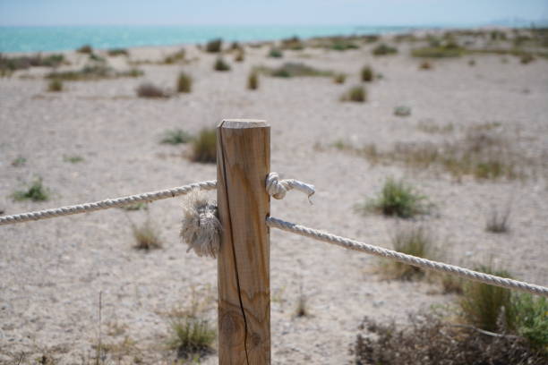 istock Path to the Mediterranean beach with sunshine and sky 1678360110
