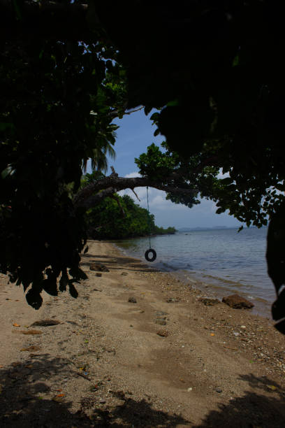 istock Tire swing on a tropical beach 1678360795