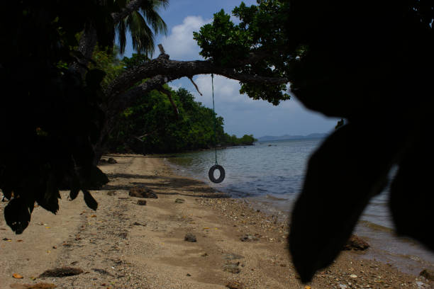 istock Tire swing on a tropical beach 1678360797