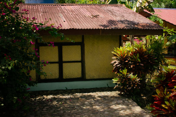 istock Coconut palm leaves house 1678360801
