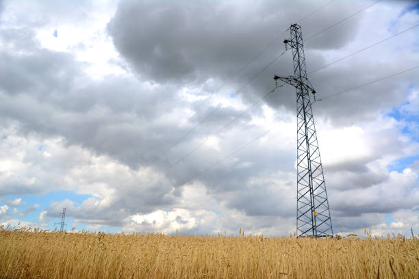 istock power tower on the wheat field with rainy clouds on background bottom view 1678365221