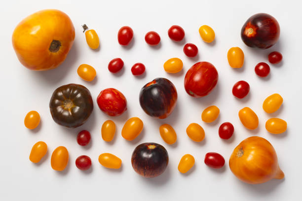 istock Pattern of colorful yellow, red, black tomatoes on black, white background, top view 1678373506