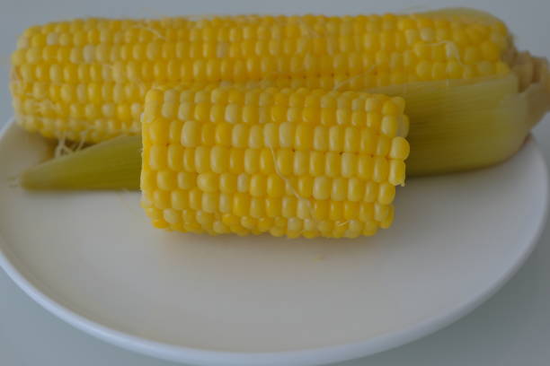 istock yellow corn on a white plate. boiled yellow corn on white plate and white table 1678376457
