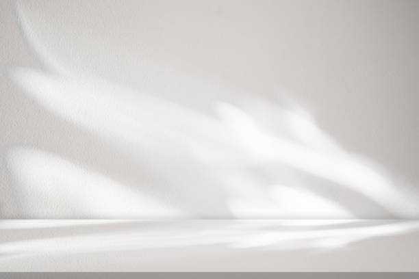 istock Background Studio,White Concrete Wall Texture with Leaves Shadow on Cement floor,Empty Grey Studio Room Display with Table Top,Backdrop background Cosmetic Product Display, Beauty Presentation 1678397374