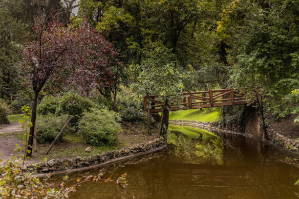 istock Trees in Retiro Park in Madrid 1678402936