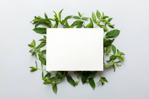 istock Wreath frame made of empty paper blank with space for text and mint leaves on colored background. . Mint Pattern. Flat lay. Top view 1678402949