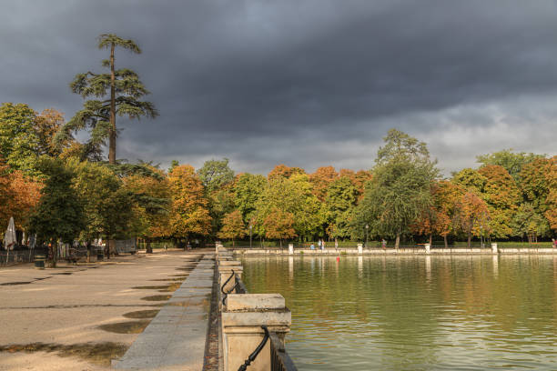 istock Trees in Retiro Park in Madrid 1678403497
