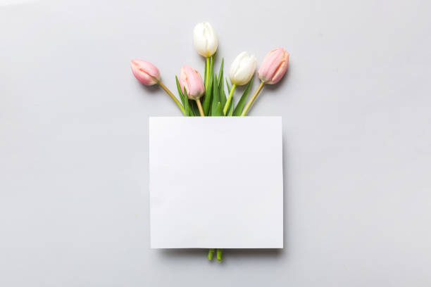 istock Composition with blank card and beautiful flowers tulip on coloredbackground. top view with space for you desing 1678403503