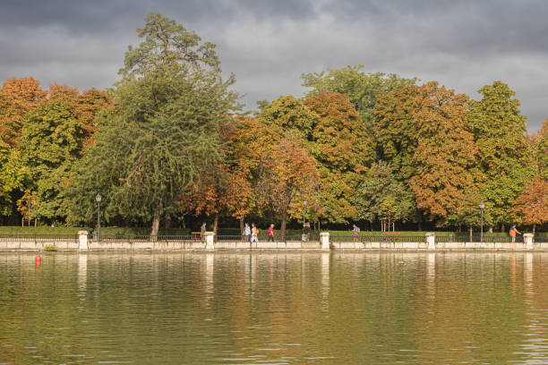 istock Trees in Retiro Park in Madrid 1678404066