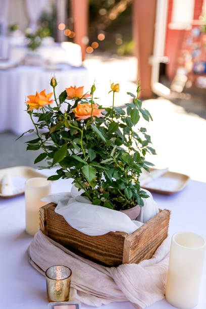 Centerpiece Floral Arrangement