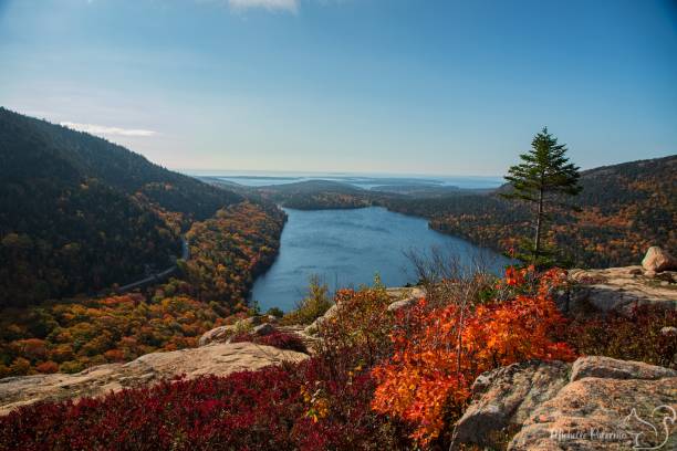 istock Acadia National Park Maine Fall Foliage New England 1678489989