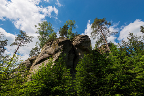 Rock formations in Adrspach Teplice rock city in Czech Republic near Polish border frog perspective