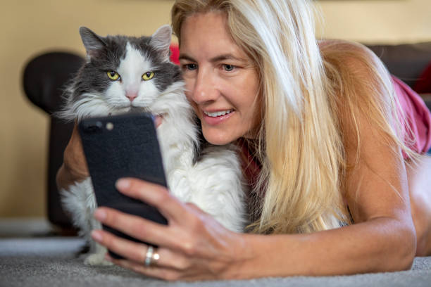 istock Woman Taking Selfie With Cat on Cell Phone 1678561078