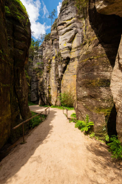 istock Adrspach Teplice rock city in Czech Republic 1678565905